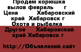 Продам корюшка вылов февраль 2018г › Цена ­ 250 - Хабаровский край, Хабаровск г. Охота и рыбалка » Другое   . Хабаровский край,Хабаровск г.